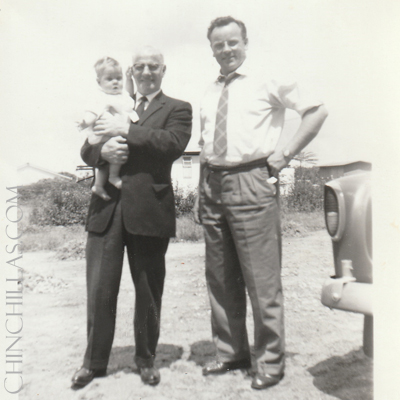 Douglas Frank Gillingham Mark Gillingham Rhodesia Violet Chinchilla